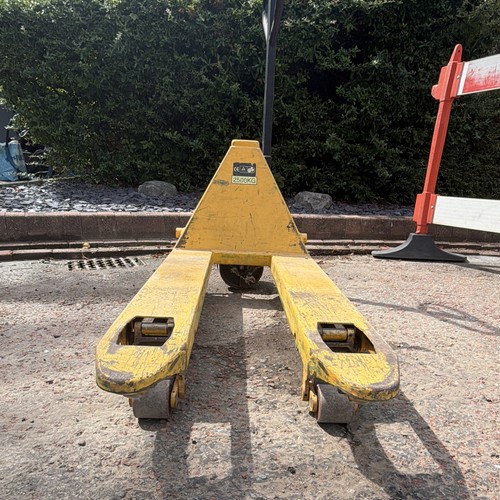 Chadwick manual hand pallet - hand,